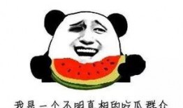 网红吃瓜是什么套路啊,揭秘网红吃瓜背后的套路与真相